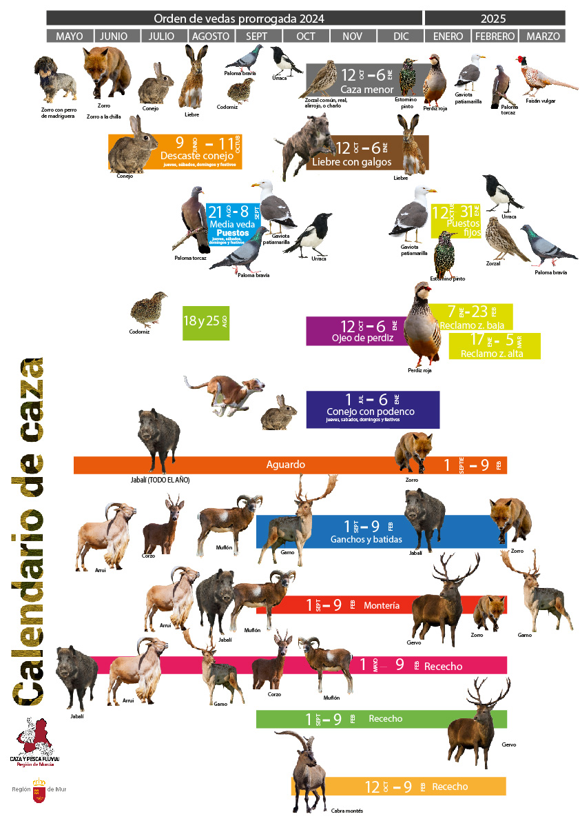 Calendario de caza de cada especie.