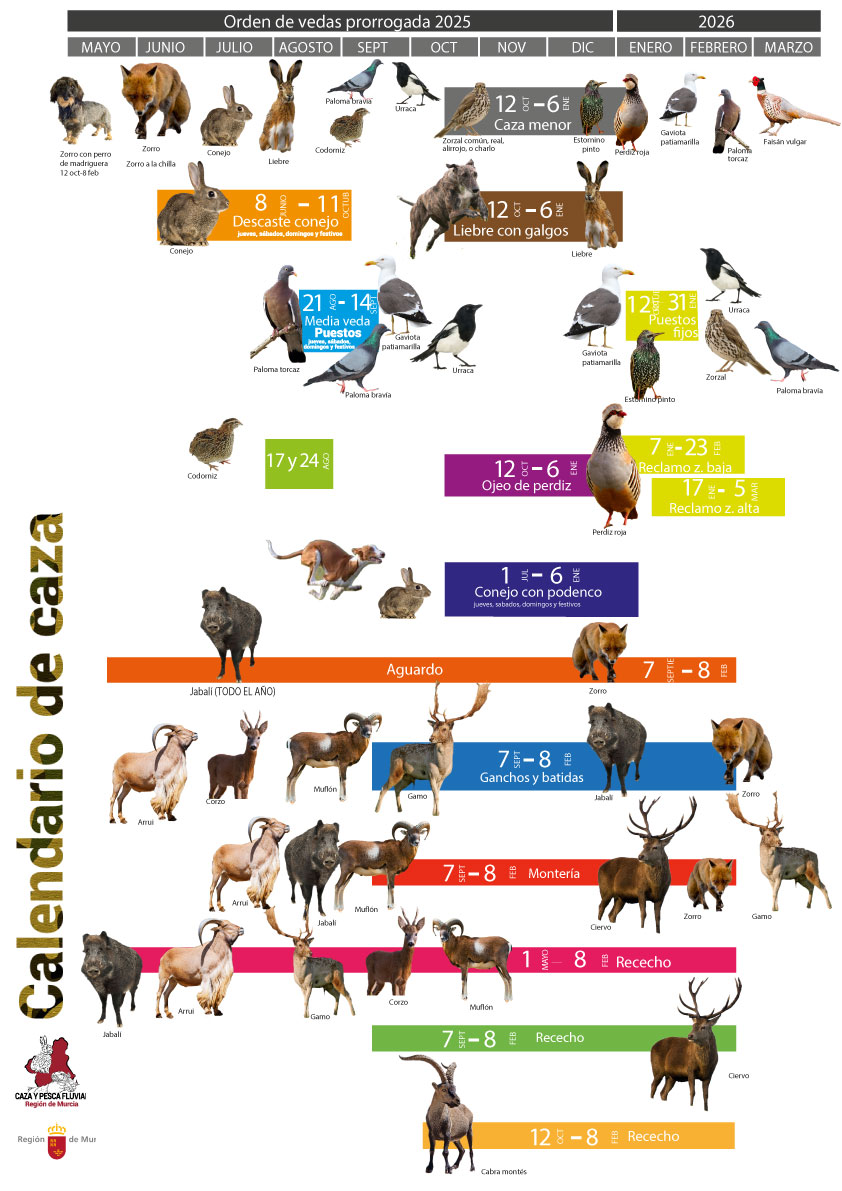 Calendario de caza de cada especie.